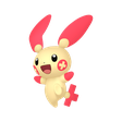 Normal Plusle Normal Plusle